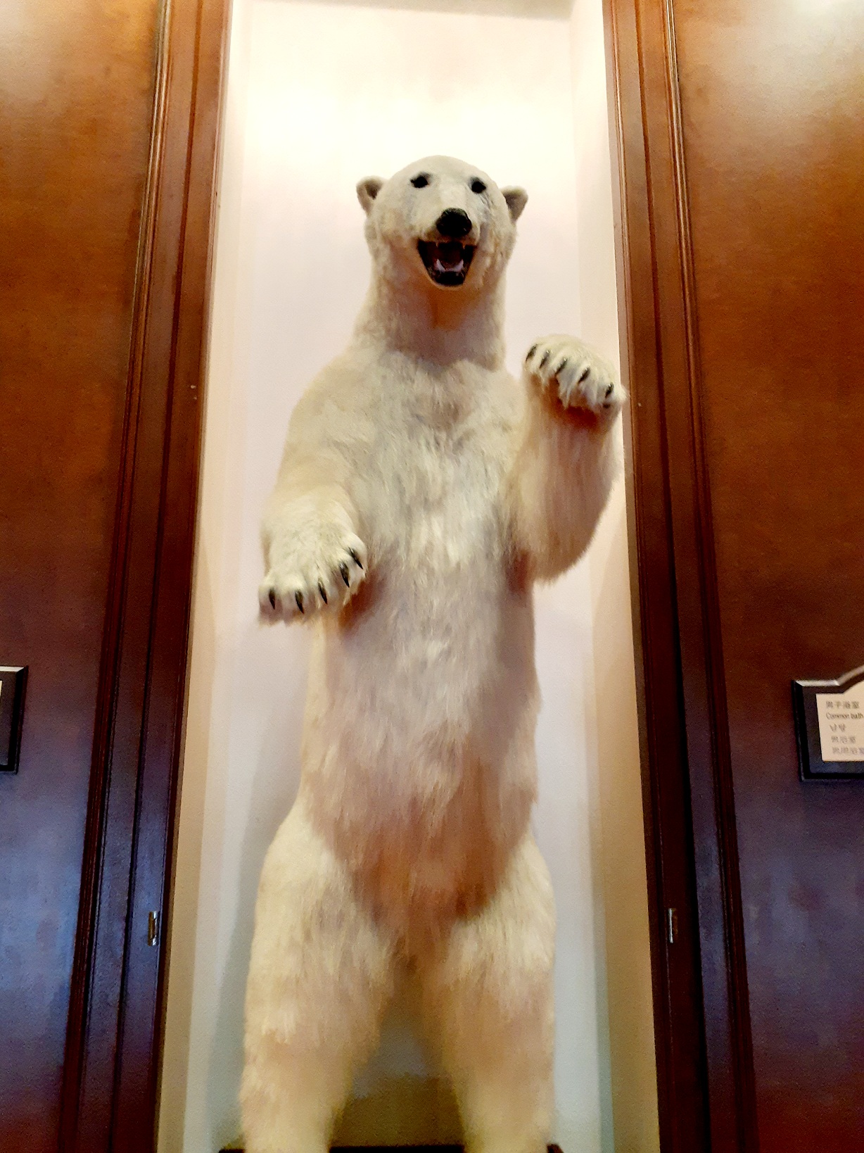 エーヴランドホテルの白クマのはく製