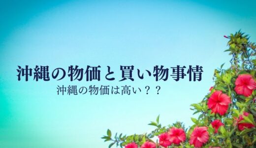 沖縄の物価は高い？沖縄の買い物事情をおしえます