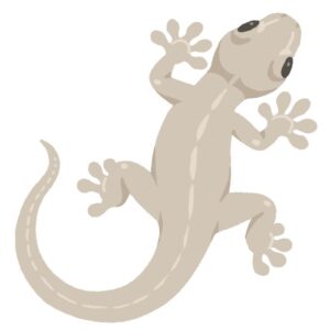 ヤモリのイラスト