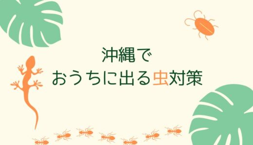 沖縄の虫対策｜虫の多い沖縄で家に出る虫や生き物と対処法8選