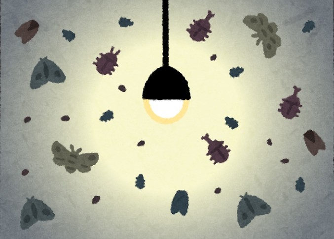 光に集まる虫のイラスト