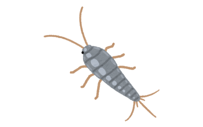 紙魚のイラスト