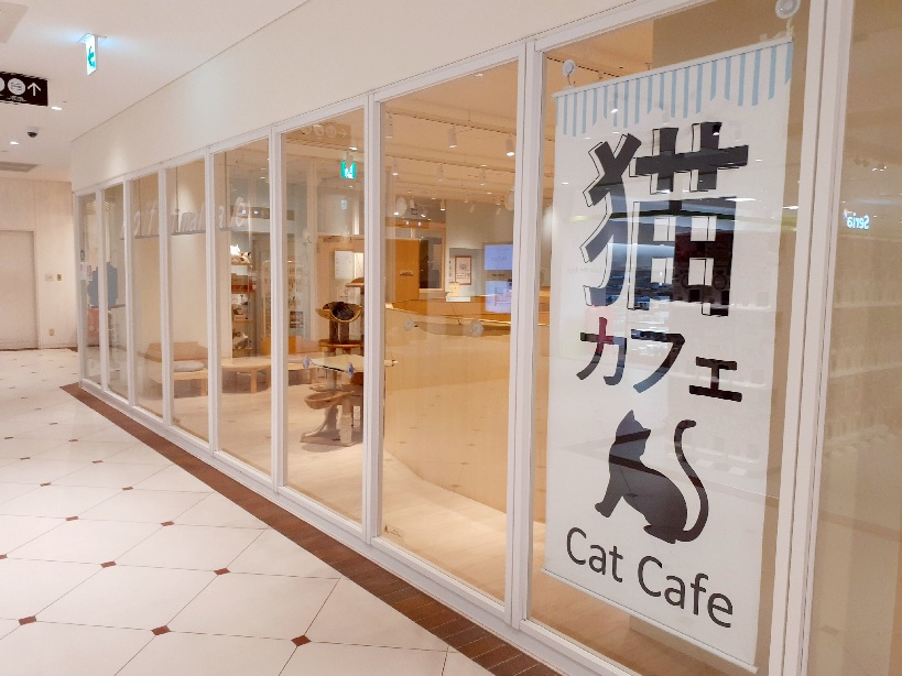 猫カフェ Moff animal cafe ココサ熊本店の外観