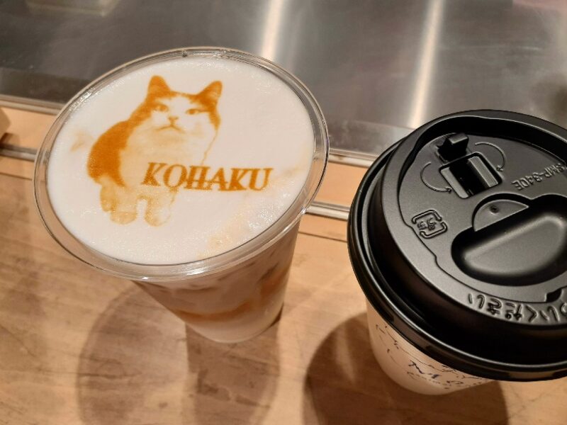 猫カフェ Moff animal cafe ココサ熊本店のドリンク