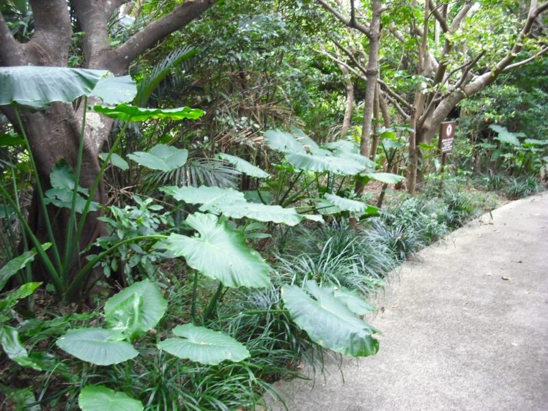 首里城の京の内