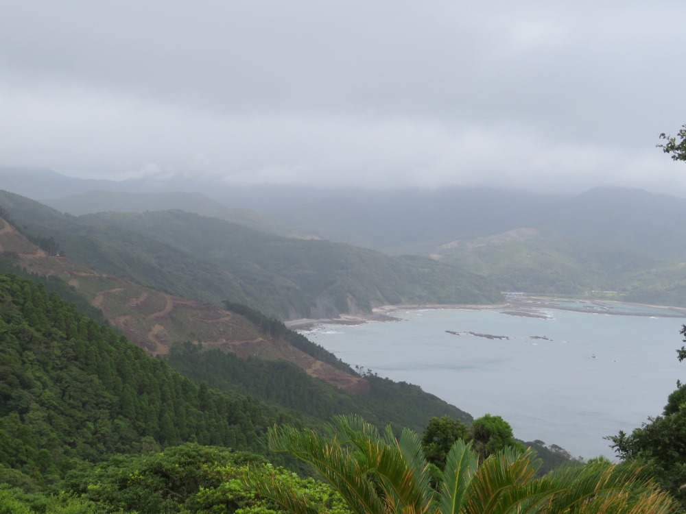 都井岬灯台からの景色