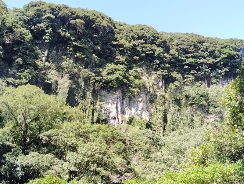雄川の滝の遊歩道の景色
